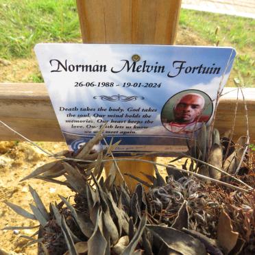 FORTUIN Norman Melvin 1988-2024