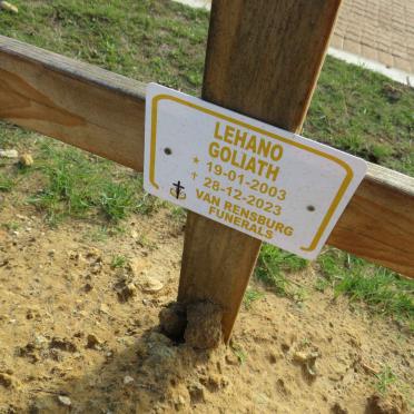 GOLIATH Lehano 2003-2023