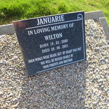 JANUARIE Wilton 2000-2021