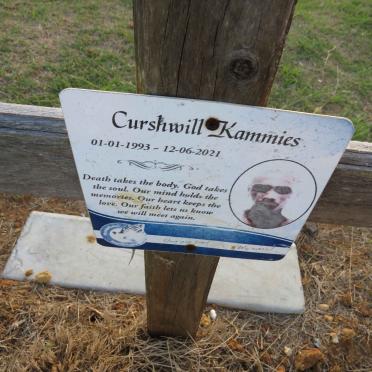 KAMMIES Curshwill 1993-2021