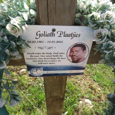 PLAATJIES Goliath 1961-2022