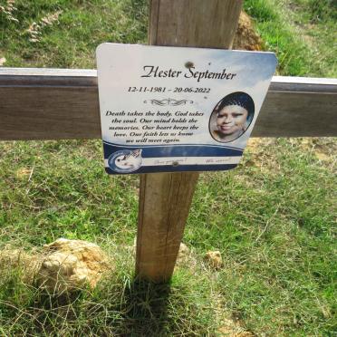 SEPTEMBER Hester 1981-2022