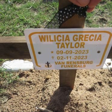 TAYLOR Wilicia Grecia 2023-2023