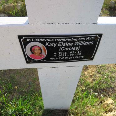 WILLIAMS Katy Elaine 1965-2021