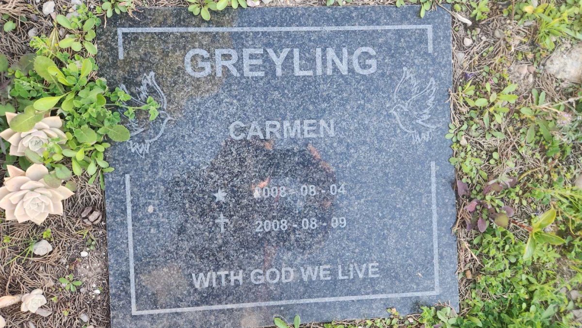 GREYLING Carmen 2008-2008
