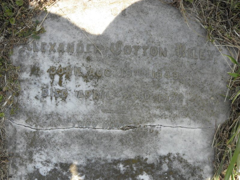 RILEY Alexander Cotton 1849-1922