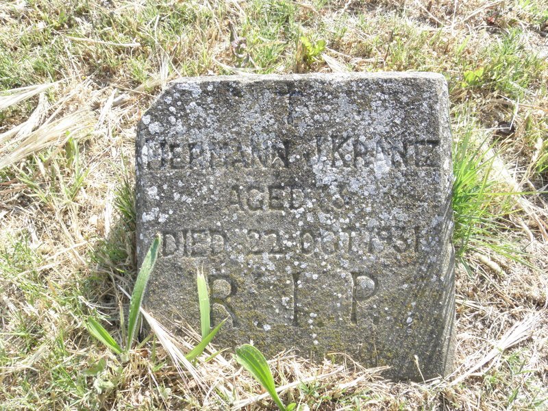 KRANTZ  Hermann J. -1931