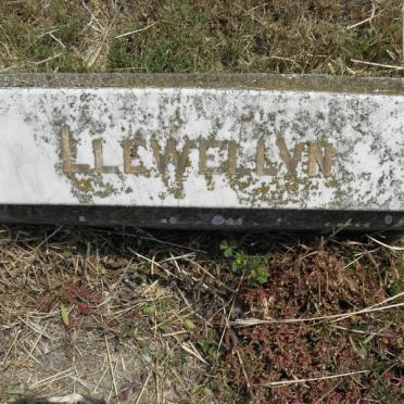 ? Llewellyn