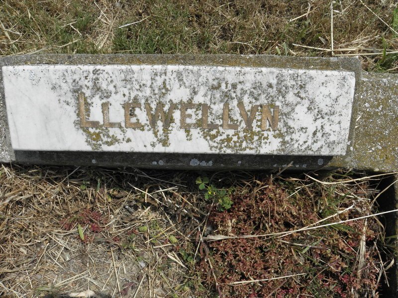 ? Llewellyn