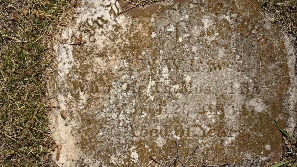 ? LEWIS H.W.W. or WILLIAMS H.W. -1883