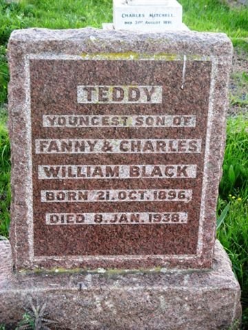 BLACK Teddy 1896-1938