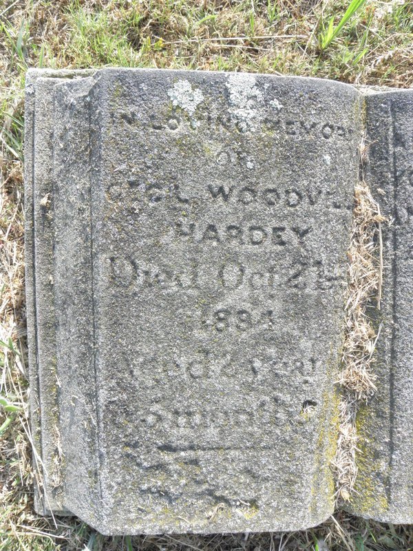 HARDEY Cecil Woody -1894