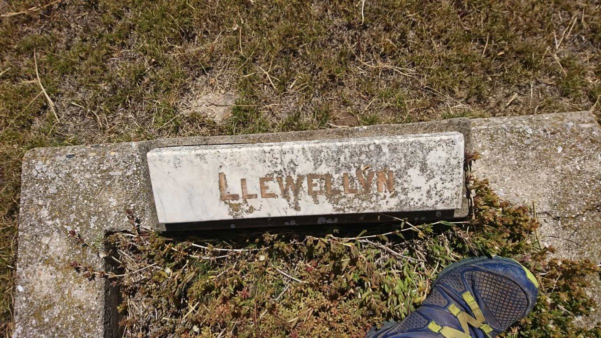 LLEWELLYN