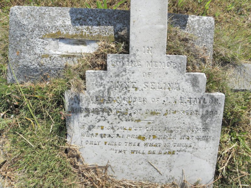 TAYLOR Anne Selina 1891-1894