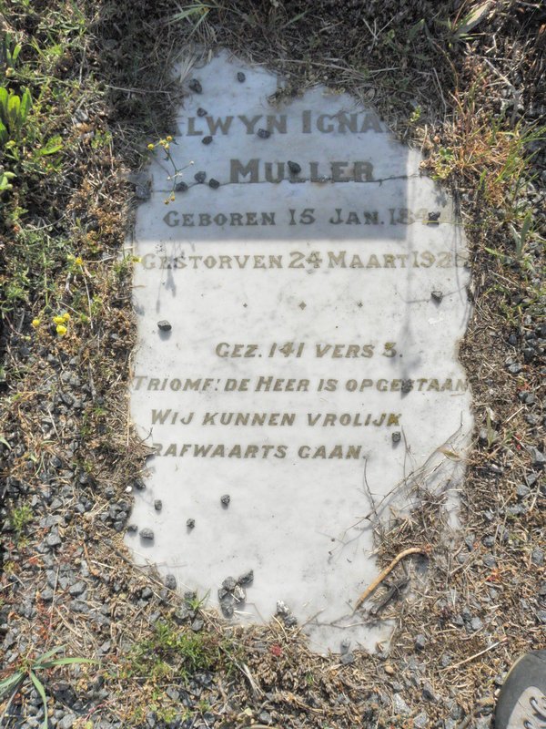MULLER Alwyn Ignatius 1849-1925