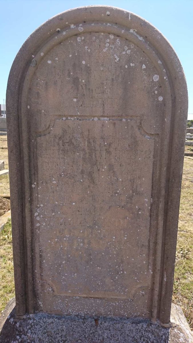 MEYER ? 1872-193?