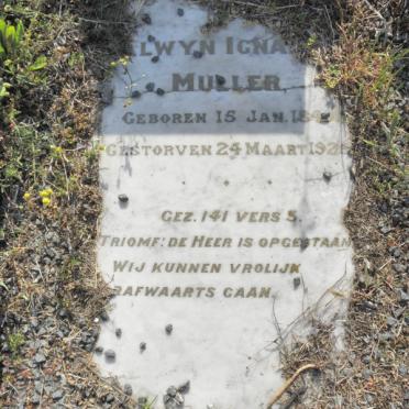 MULLER Alwyn Ignatius 1849-1925