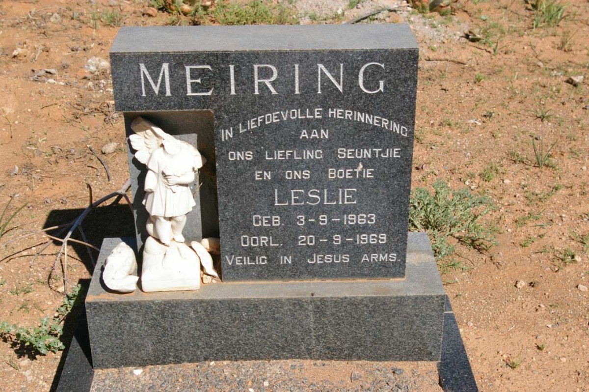 MEIRING Leslie 1963-1969