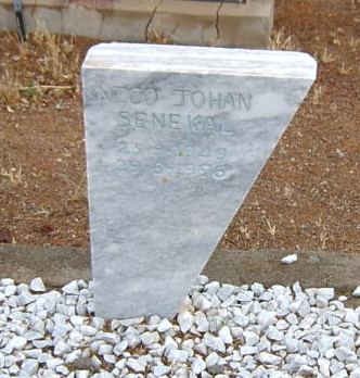 SENEKAL Nico Johan 1949-1996