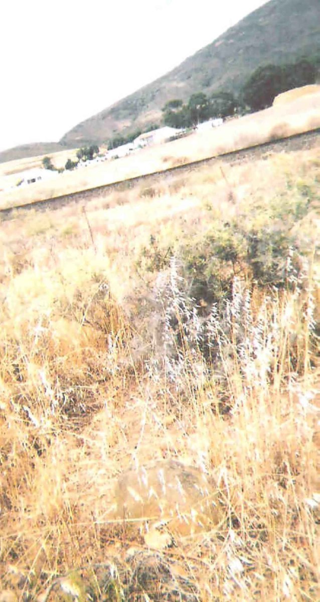 2. Overview