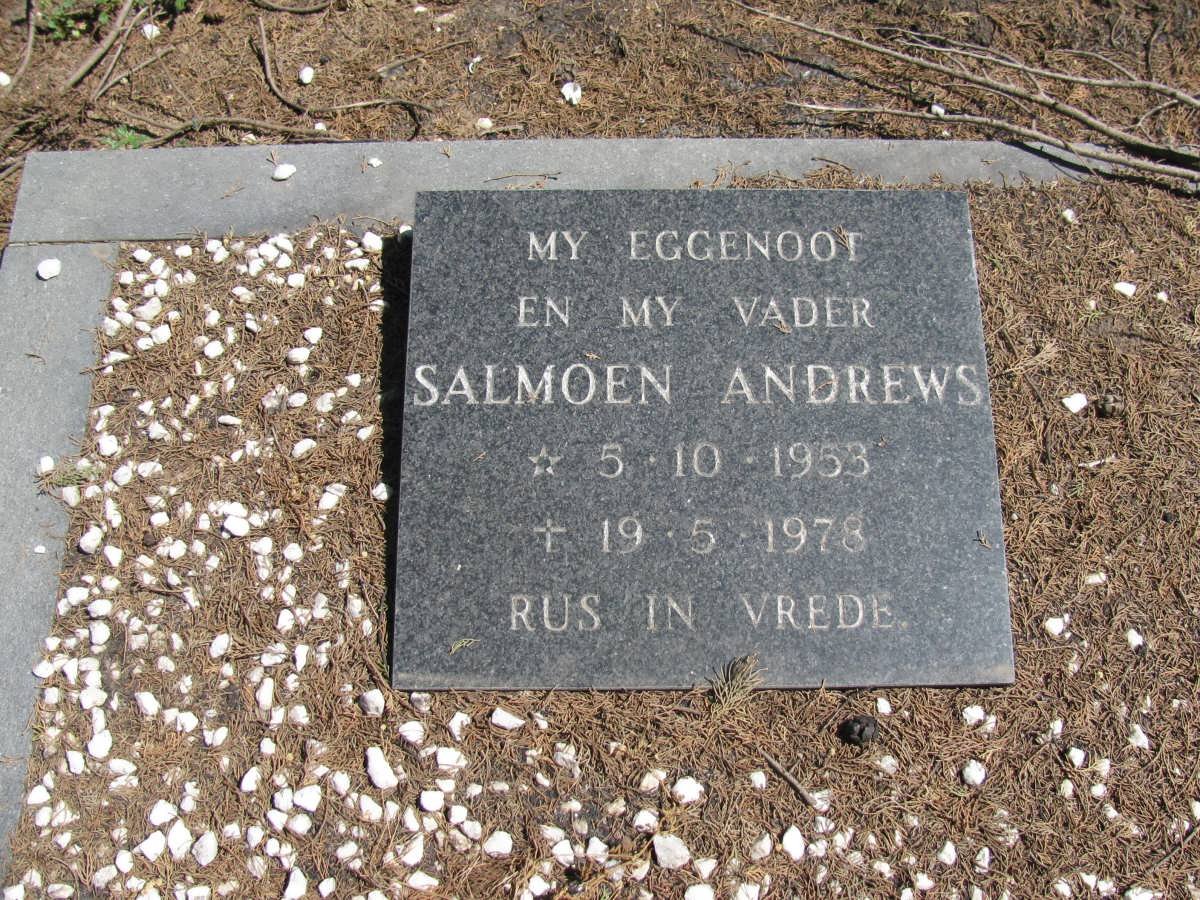 ANDREWS Salmoen 1953-1978