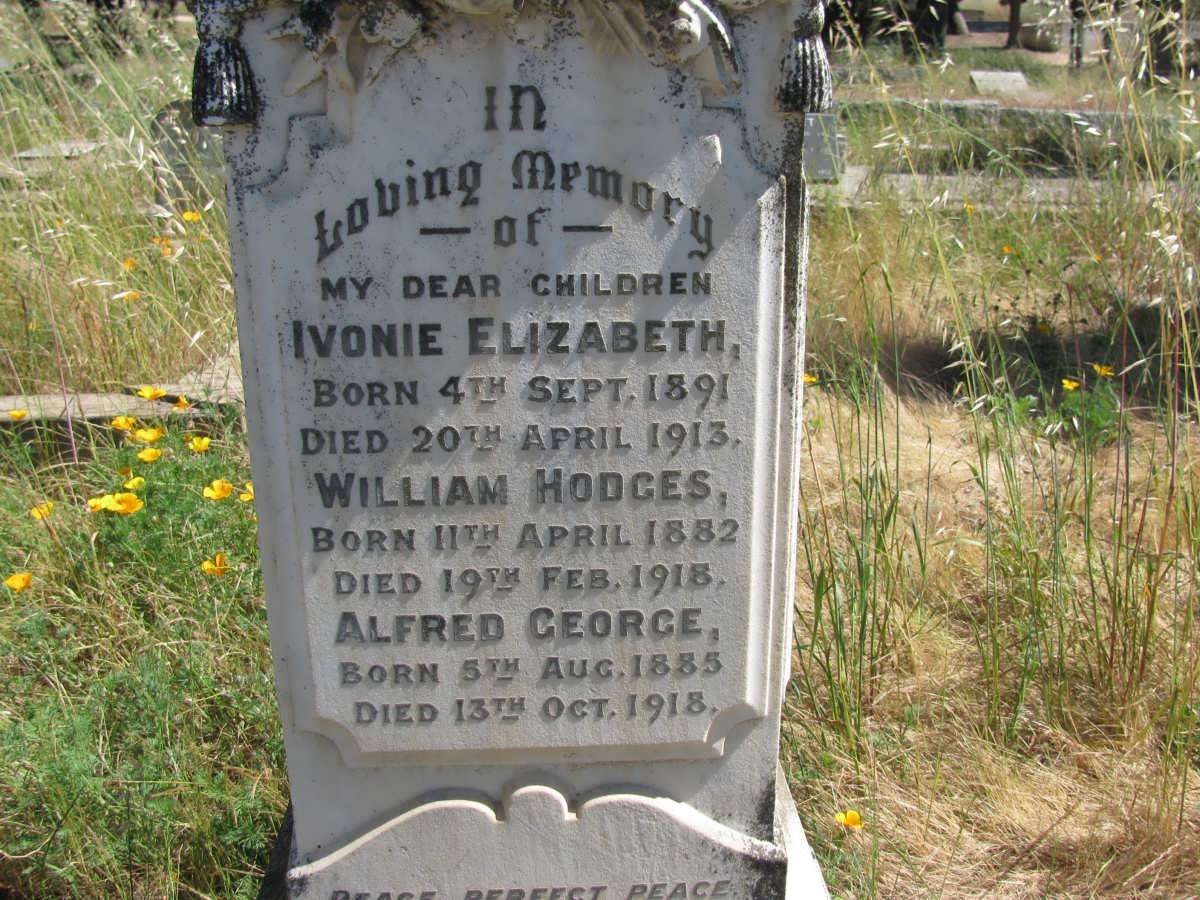 UREN William Hodges 1882-1918 :: UREN Ivonie Elizabeth 1891-1913 :: UREN Alfred George 1885-1918