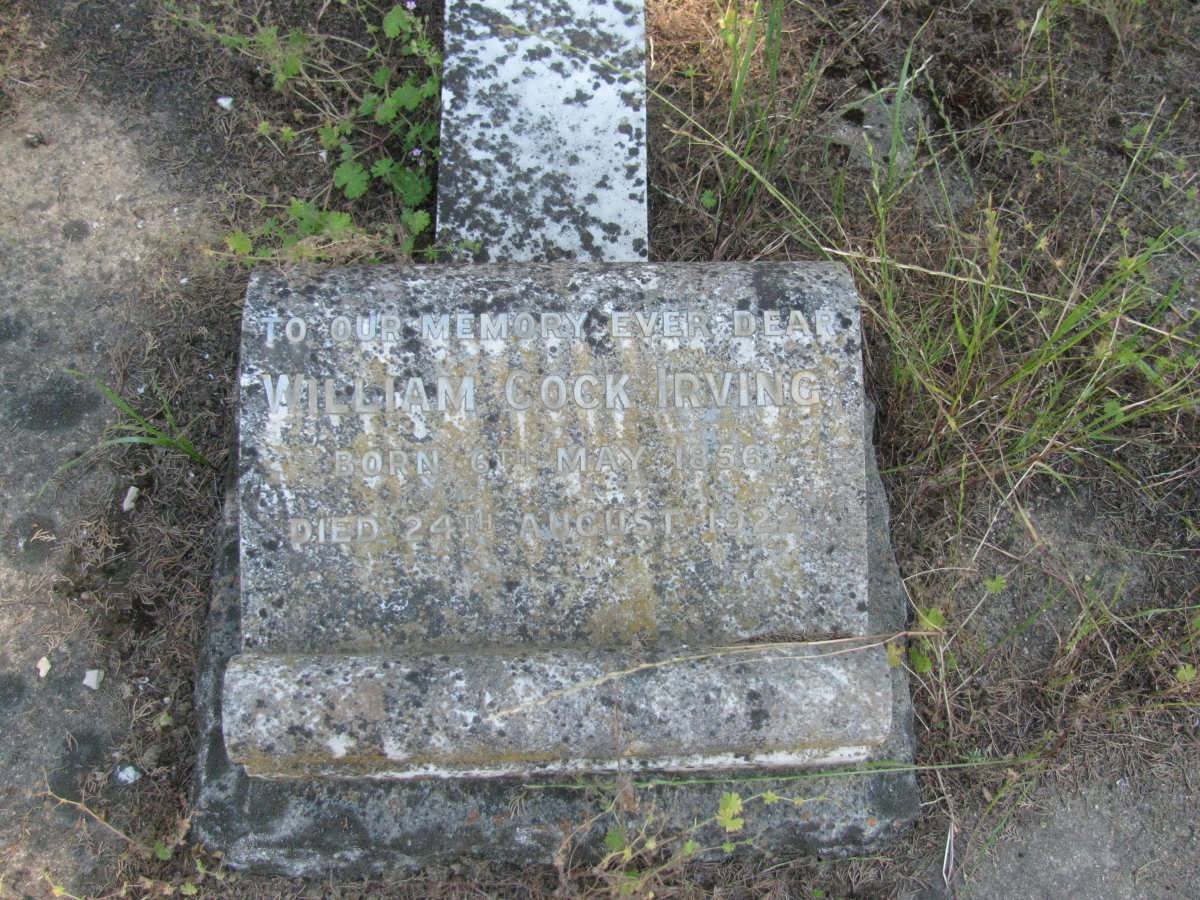 IRVING William Cock 1856-1922