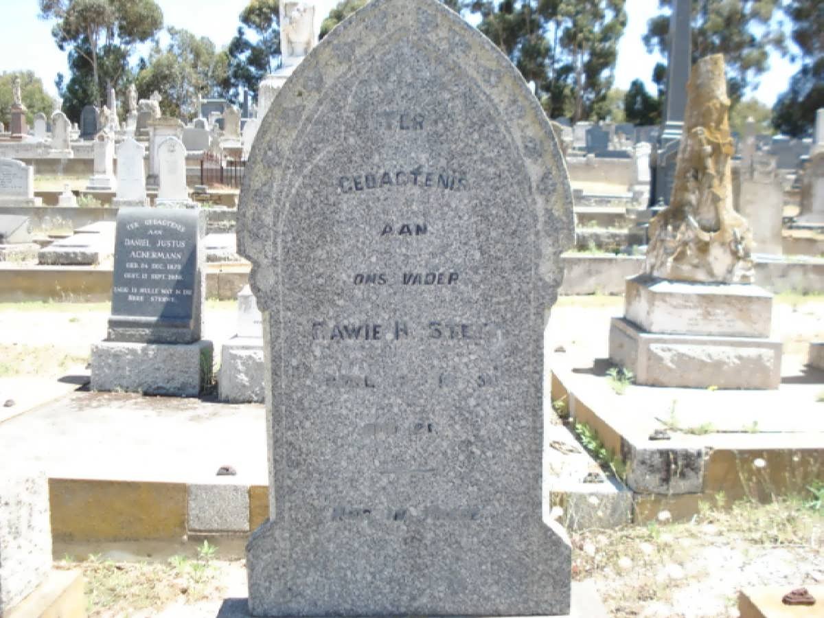 STEYN Gawie -1931