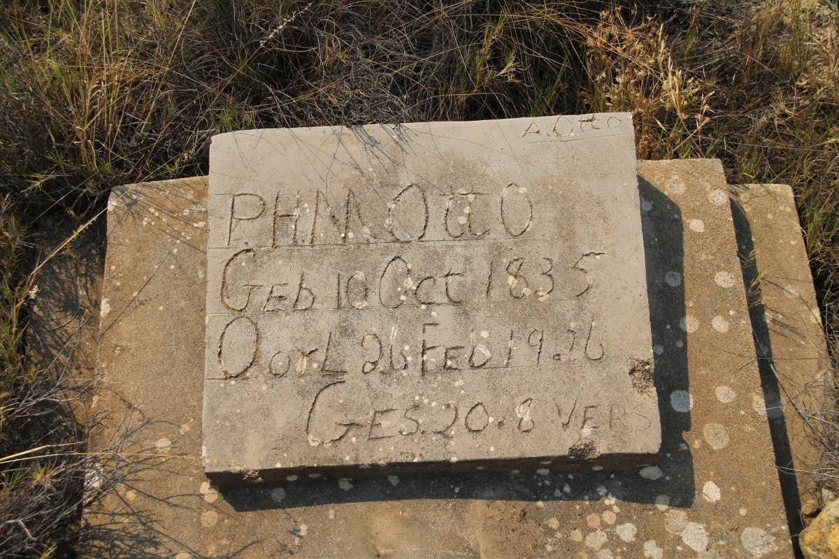 OTTO P.H.M. 1835-19?6