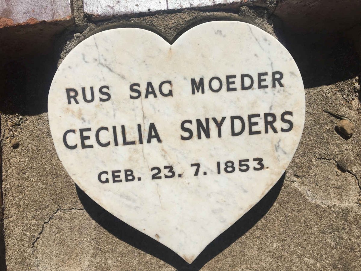 SNYDERS Cecilia -1853