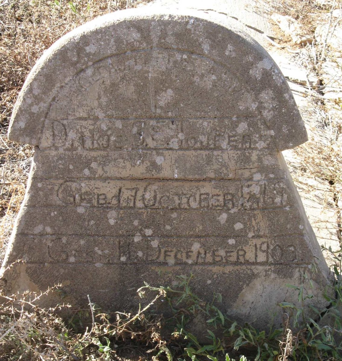 JOUBERT Dirkje S.E. 1869-1903