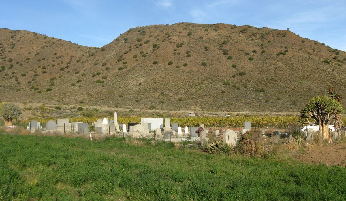 2. Oorsig/Overview