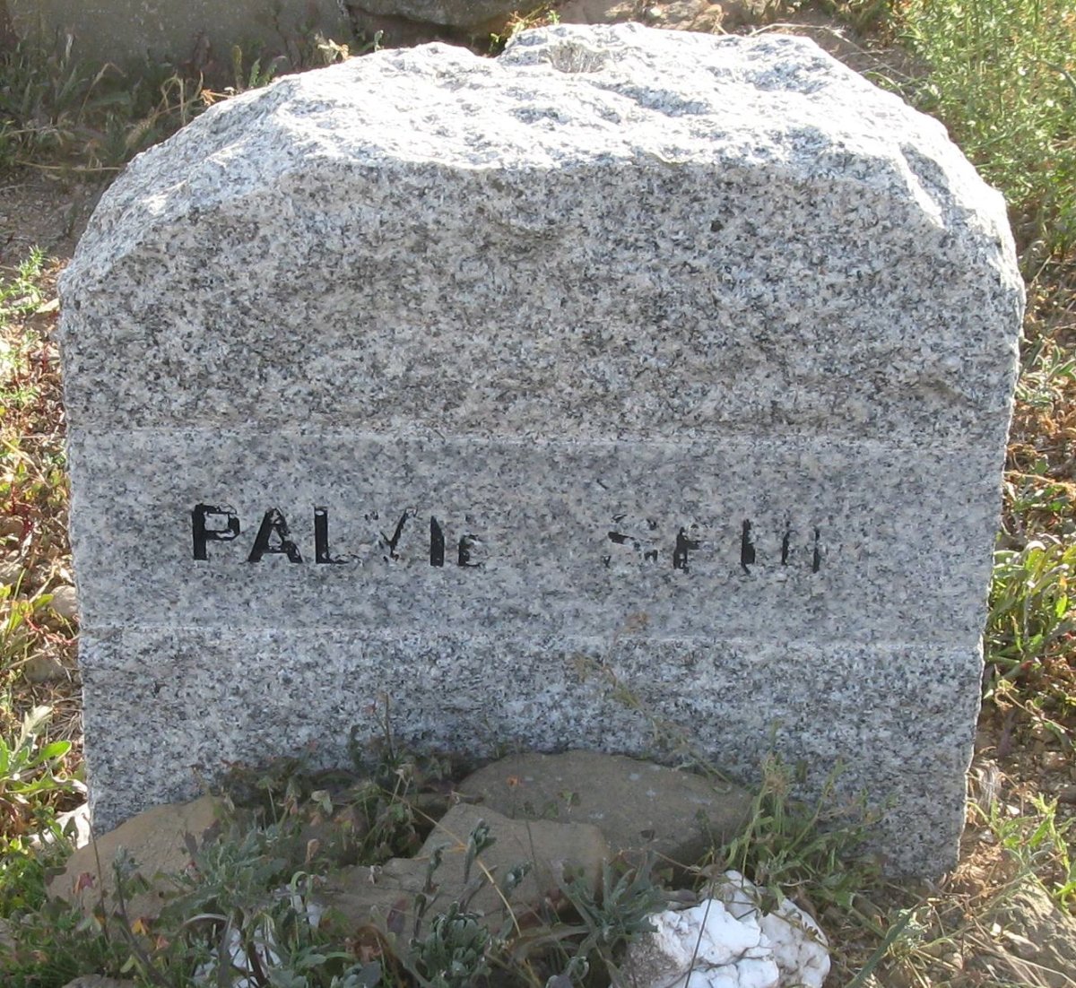 PALVIE