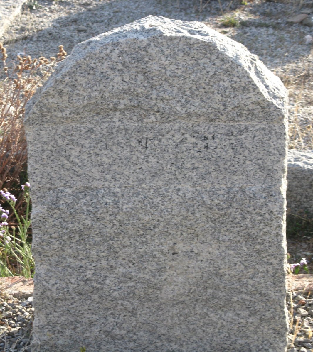 KOCK R.J., de