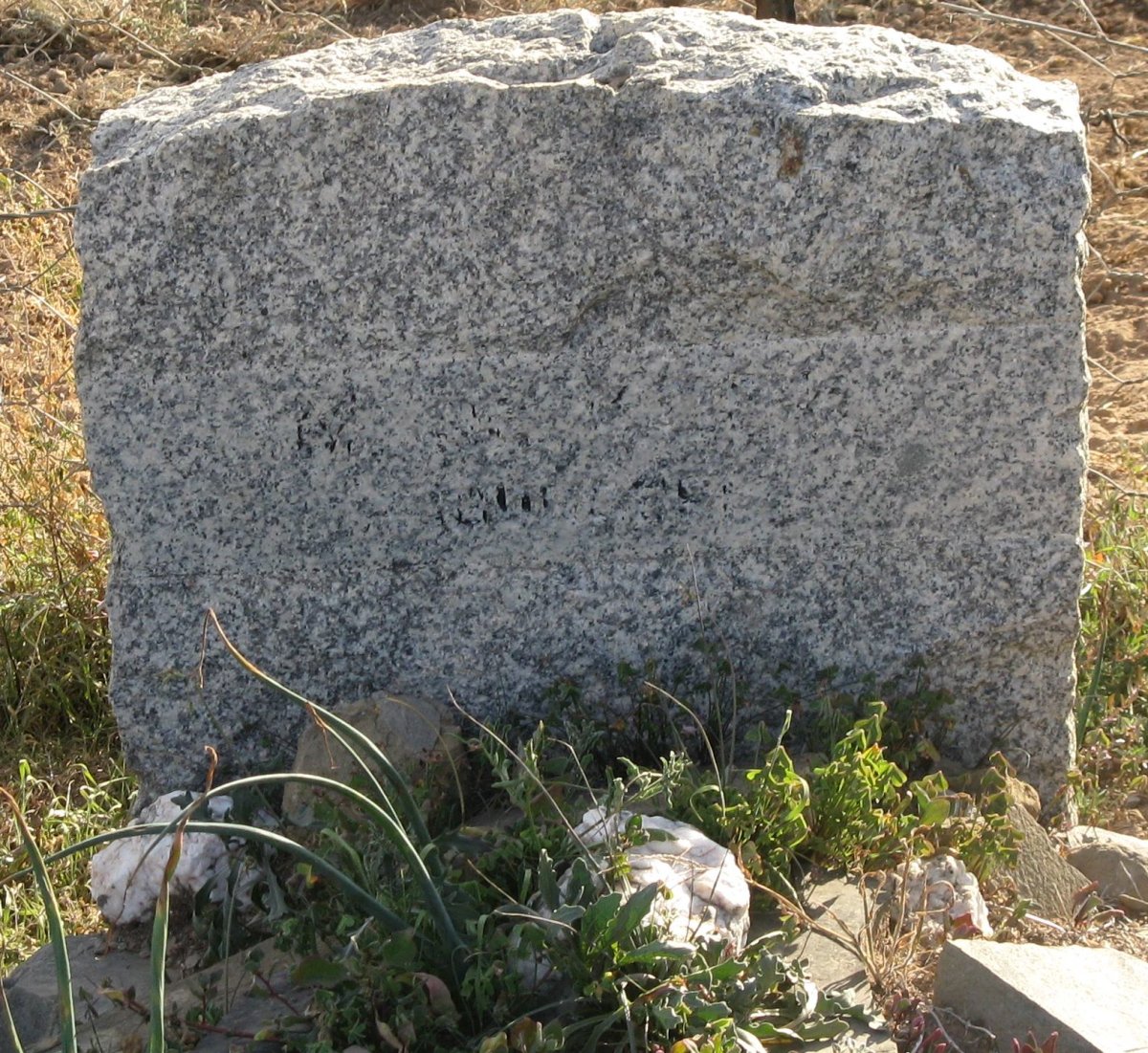 KOCK M., de