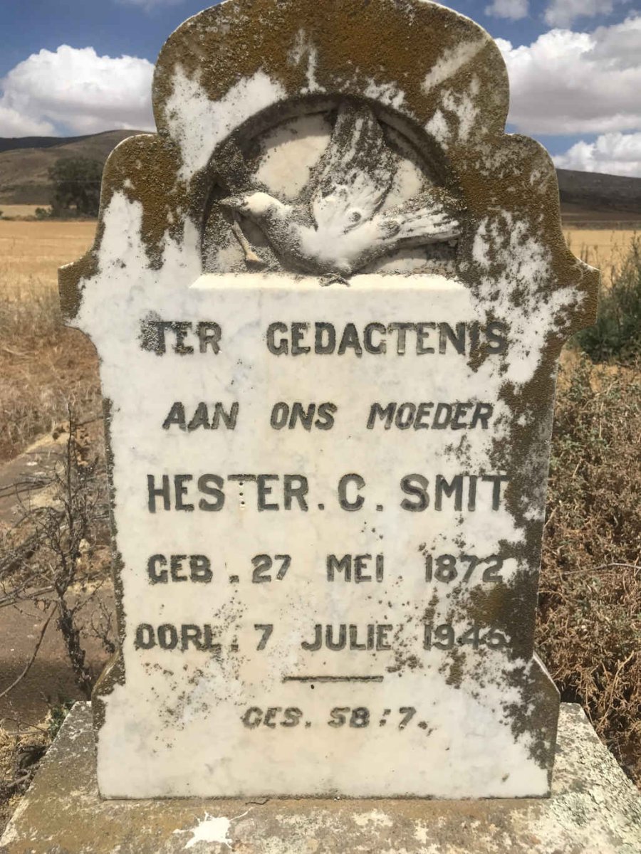 SMIT Hester C. 1872-1946