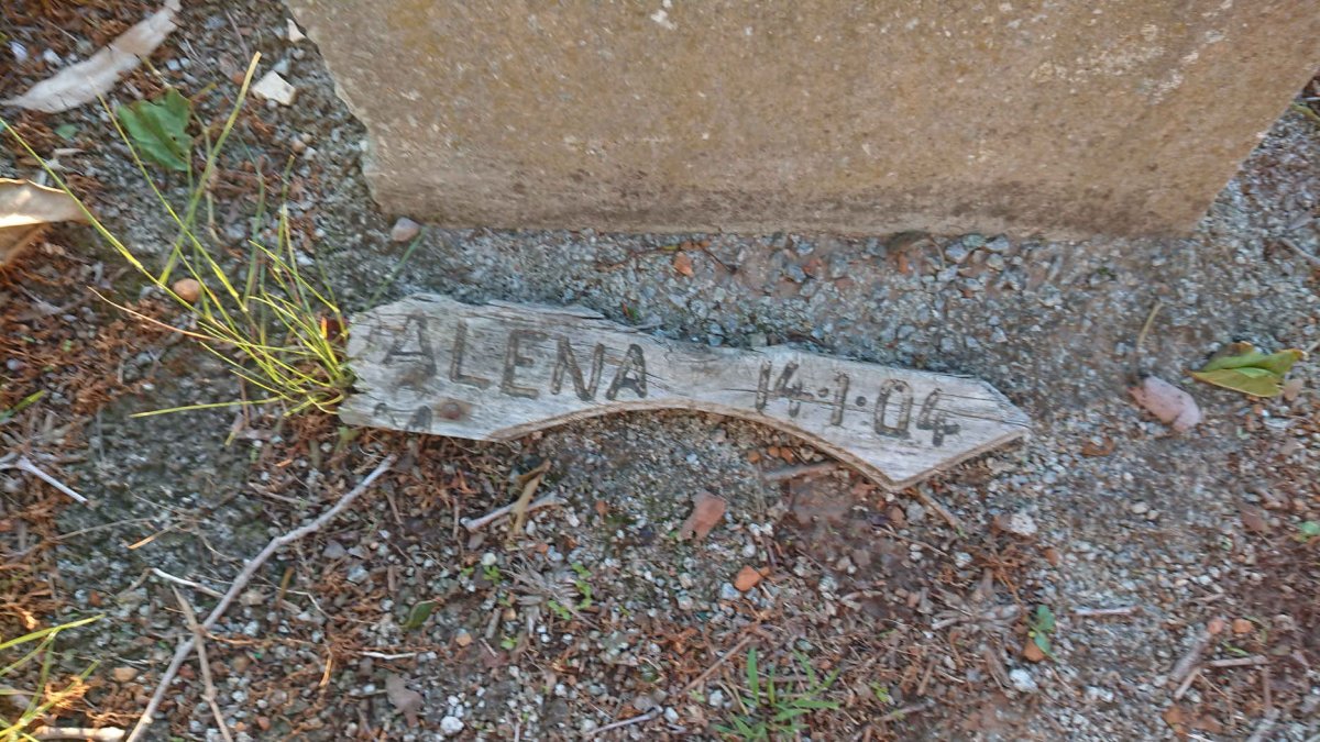 ?alena -2004