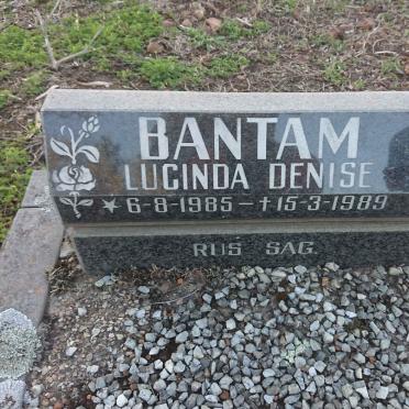 BANTAM Lucinda Denise 1985-1989