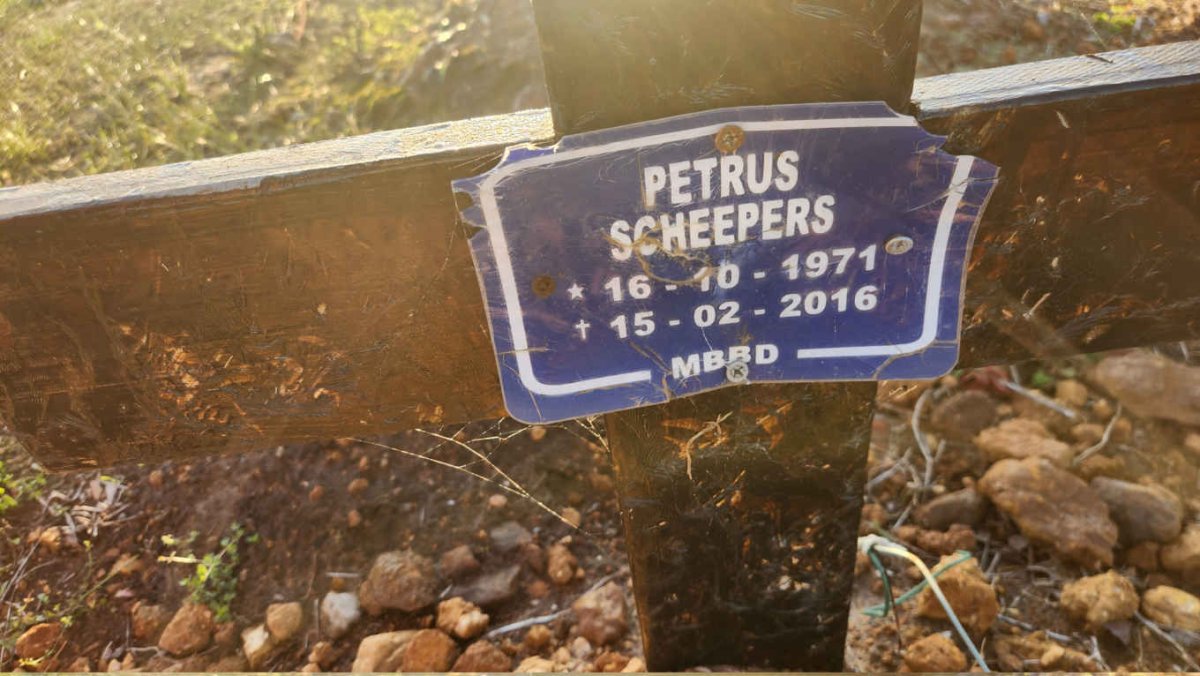SCHEEPERS Petrus 1971-2016