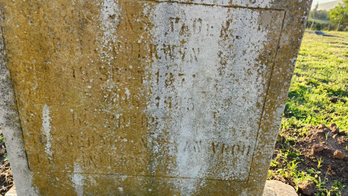VOLKWYN ? 1871-19?5