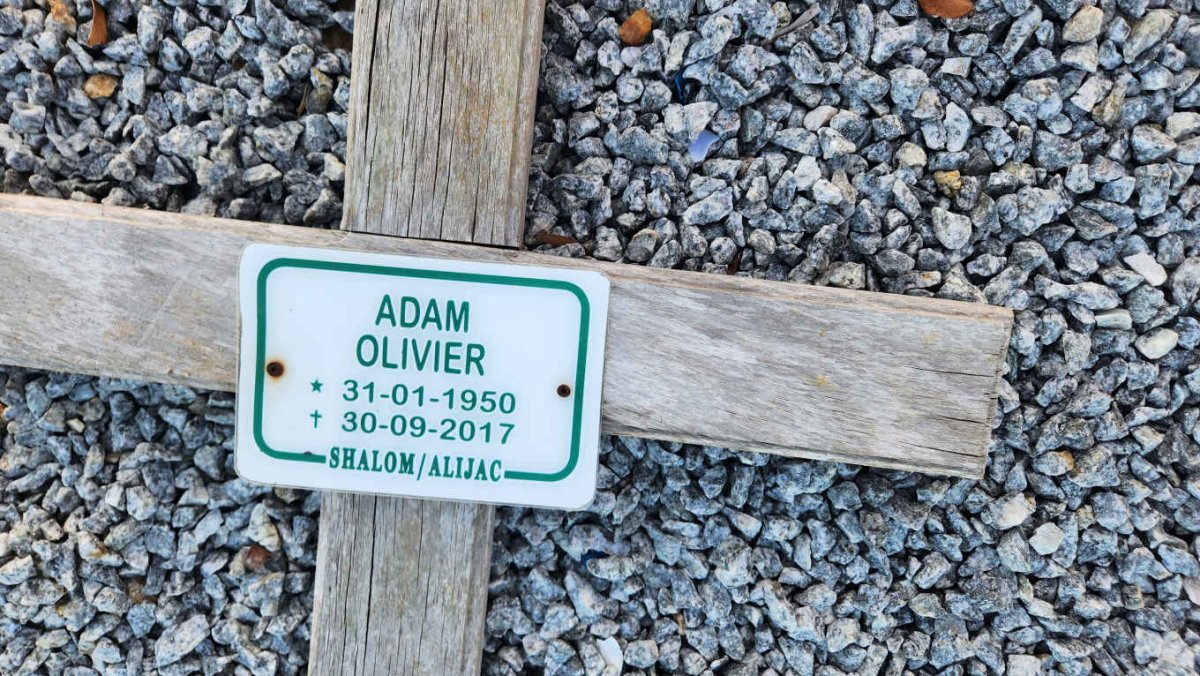 OLIVIER Adam 1950-2017
