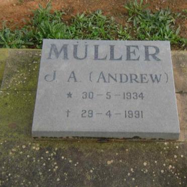 MÜLLER J.A. 1934-1991