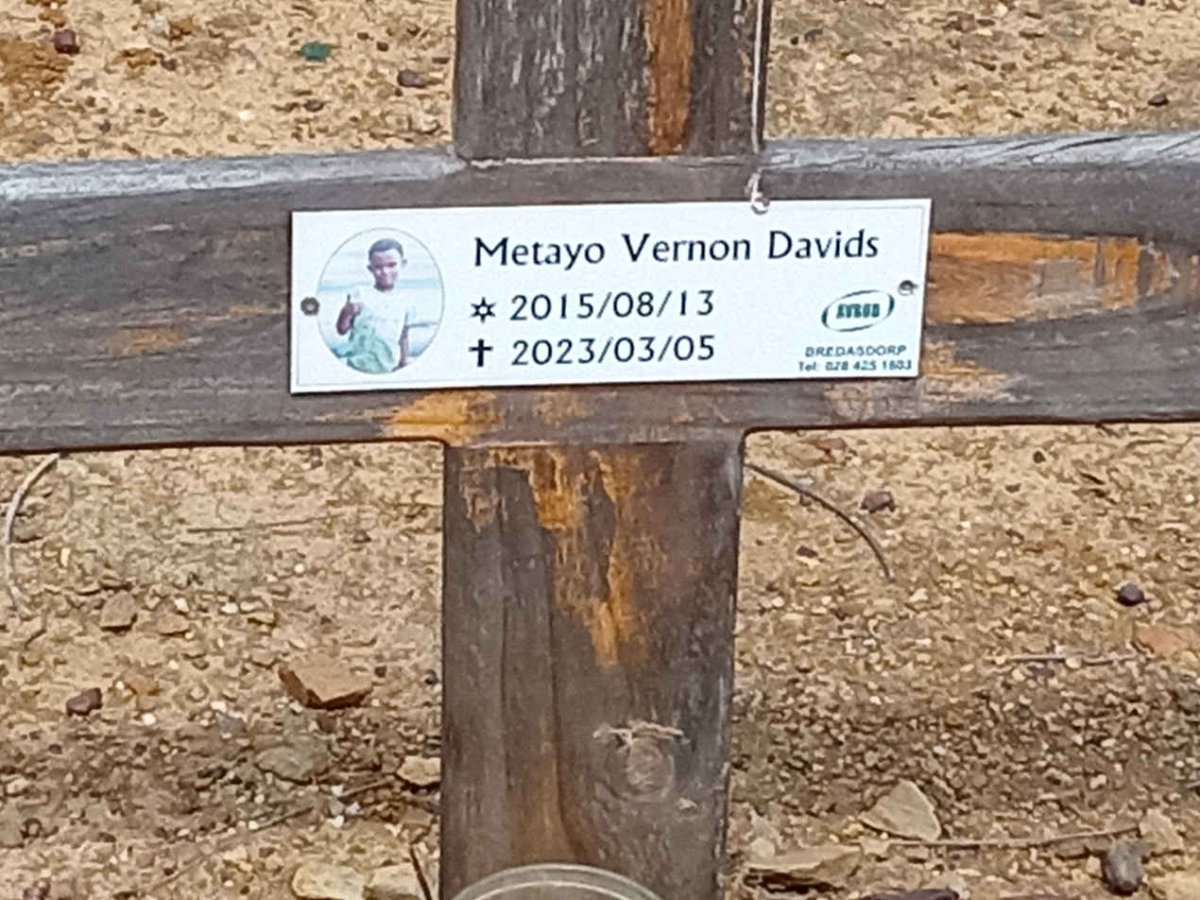 DAVIDS Metayo Vernon 2015-2023