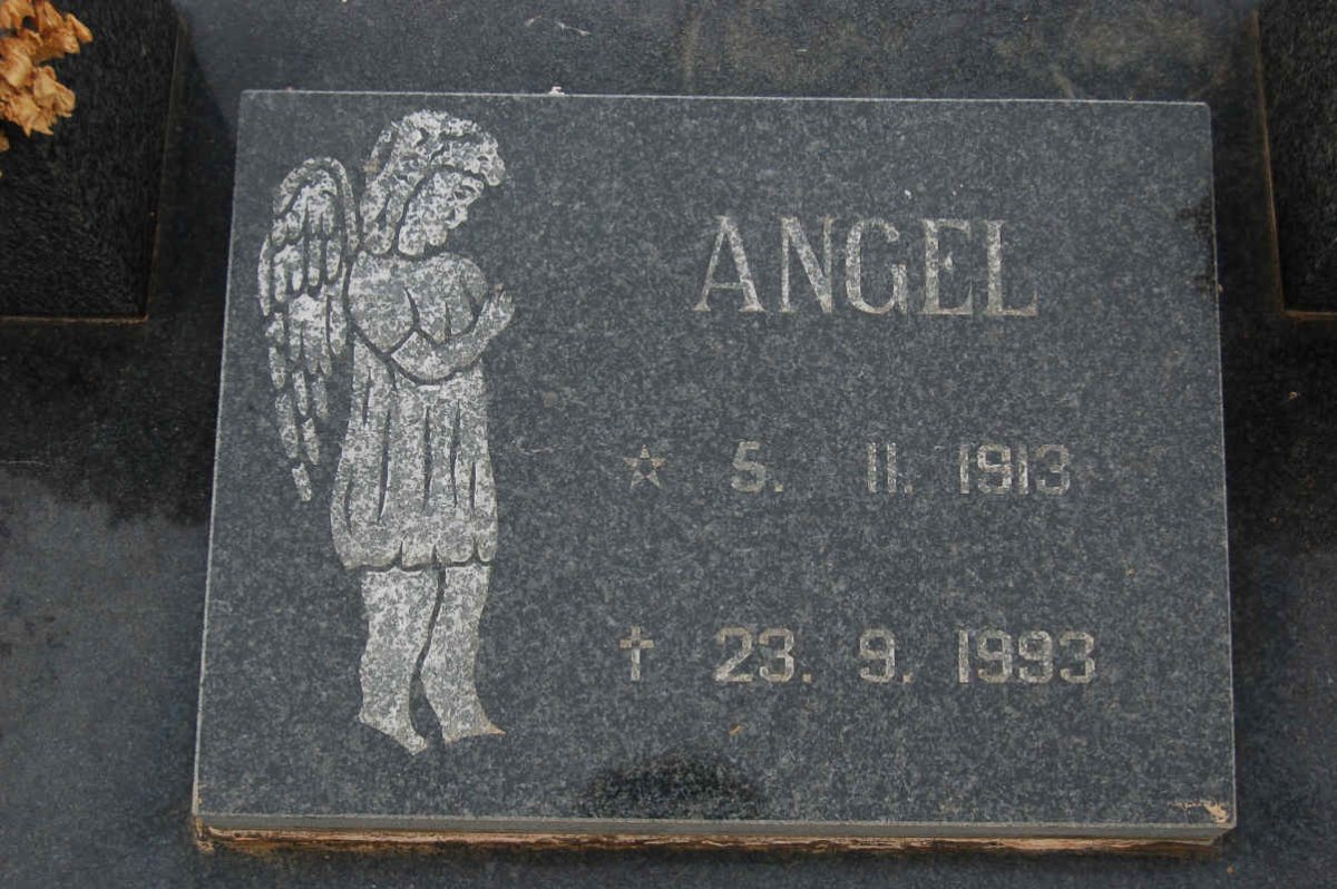 WESSELS J.N. 1913-1993