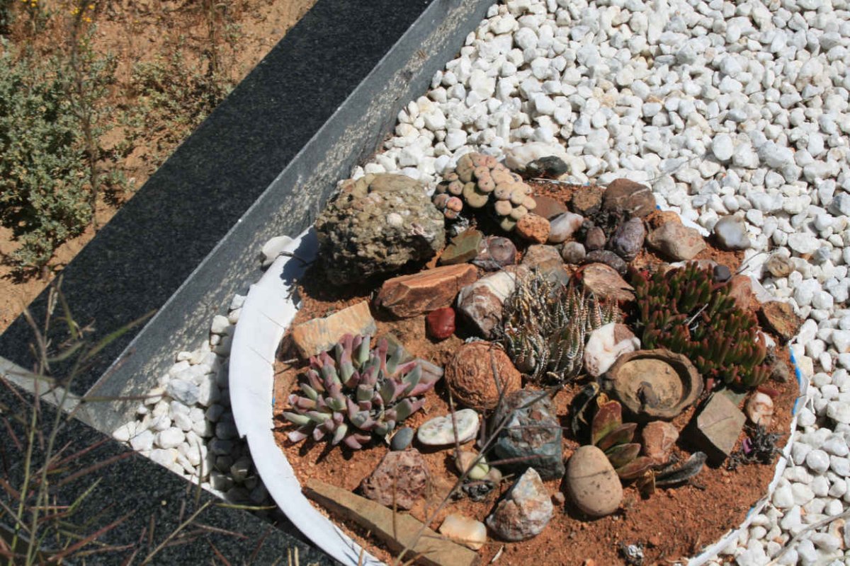 4. Bakkie woestynplantjies