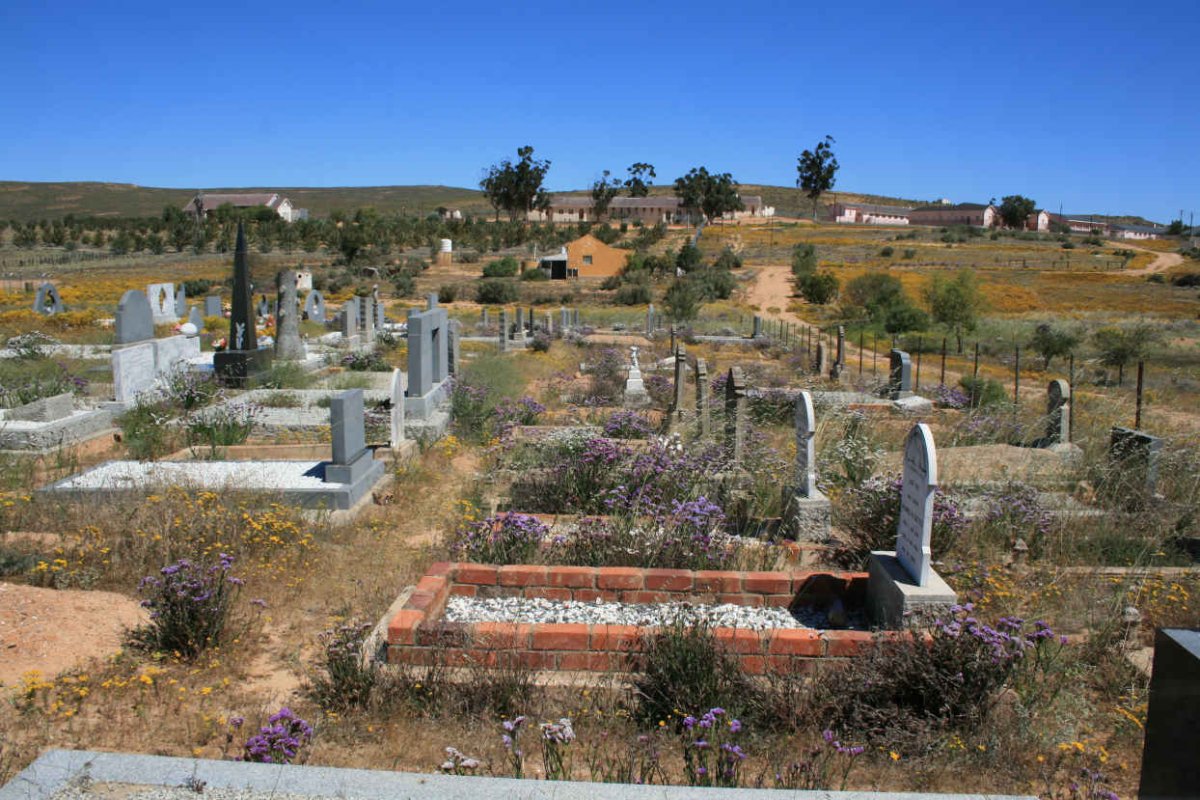 2. Overview