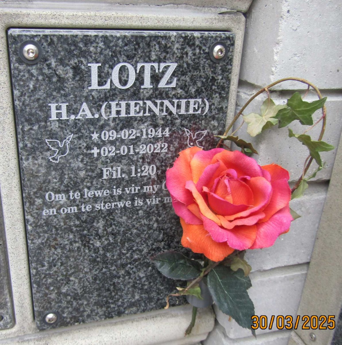 LOTZ H. A. 1944-2022