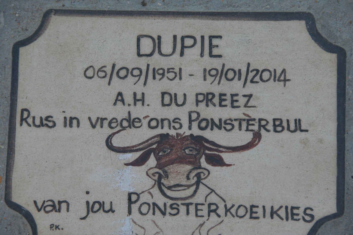 PREEZ A.H., du 1951-2014