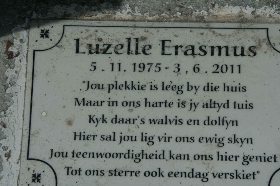 ERASMUS Luzelle 1975-2011