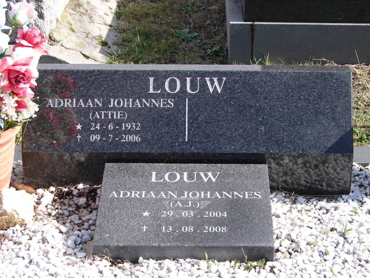 LOUW Adriaan Johannes 1932-2006 :: LOUW Adriaan Johannes 2004-2008